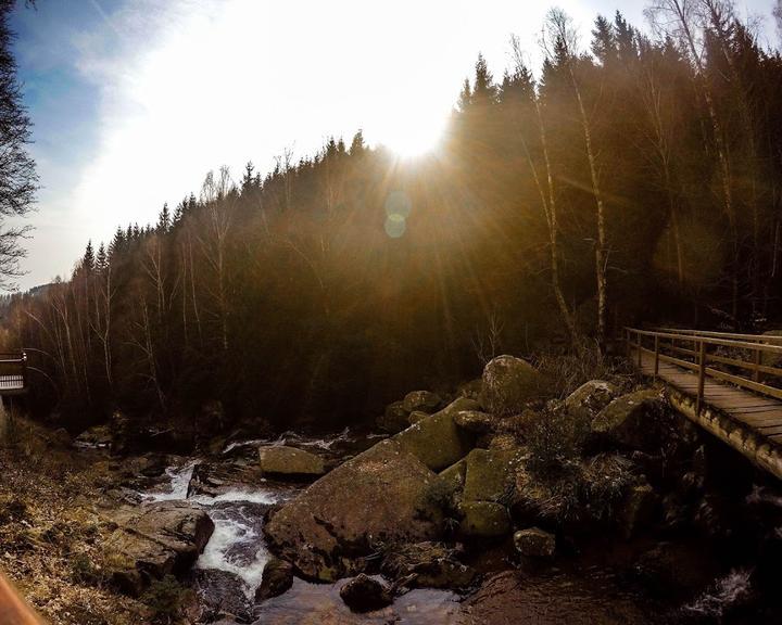 Waldgasthaus und Hotel Steinerne Renne