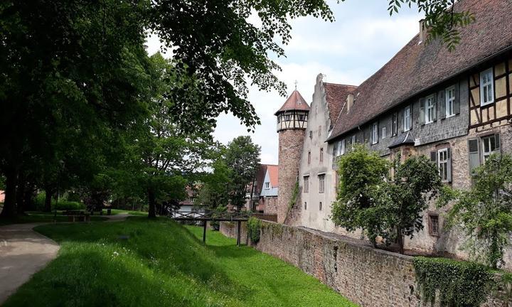 Elefantenhaus Michelstadt