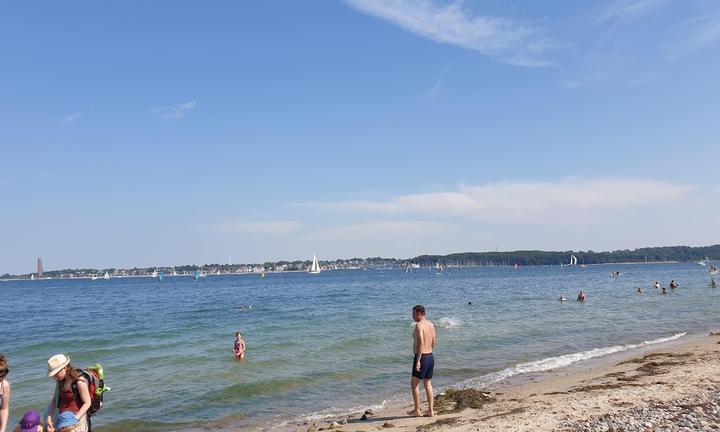 Elefant am Strand