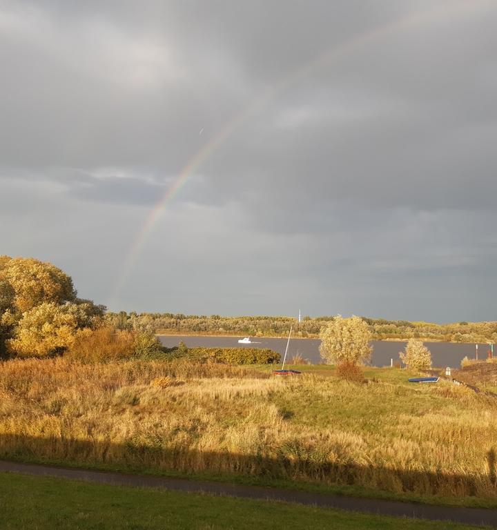 Moewen Nest