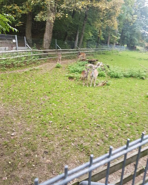 Landgasthof Waldfrieden