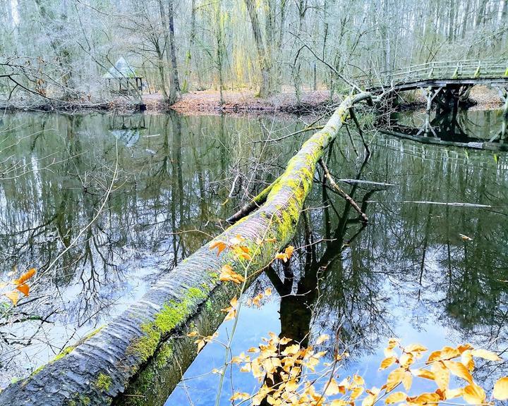 Oberschweinstiege