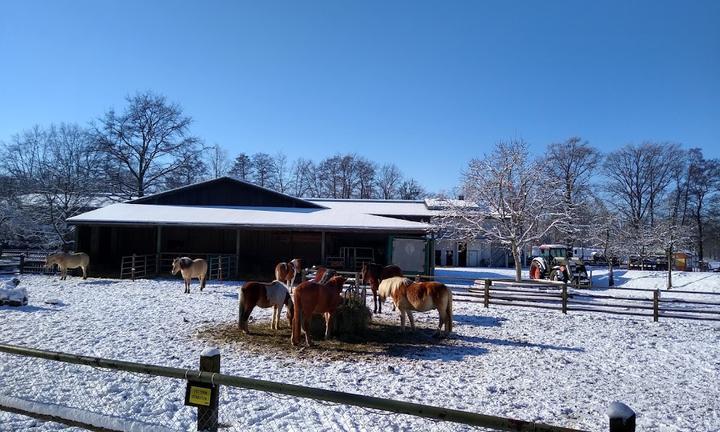 Restaurant Zur Kutzeburger Mühle