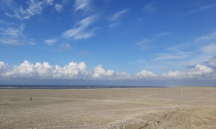 Strandpieper Norderney