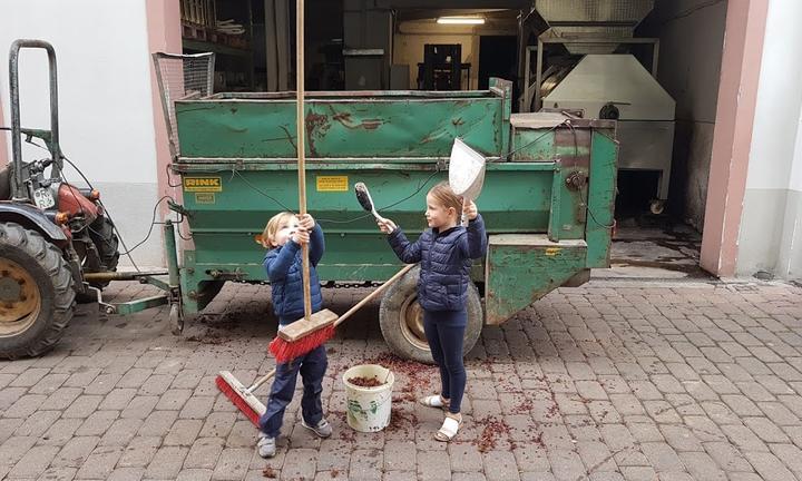 Weingut Gutsausschank Eibinger Zehnthof