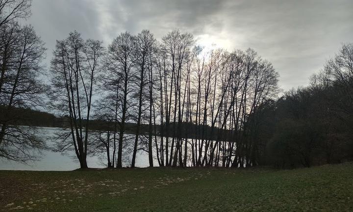 Gasthaus Am Spring