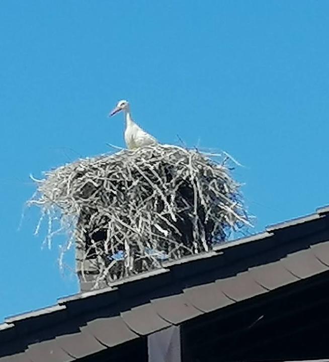 Gaststaette Zum Vogelpark