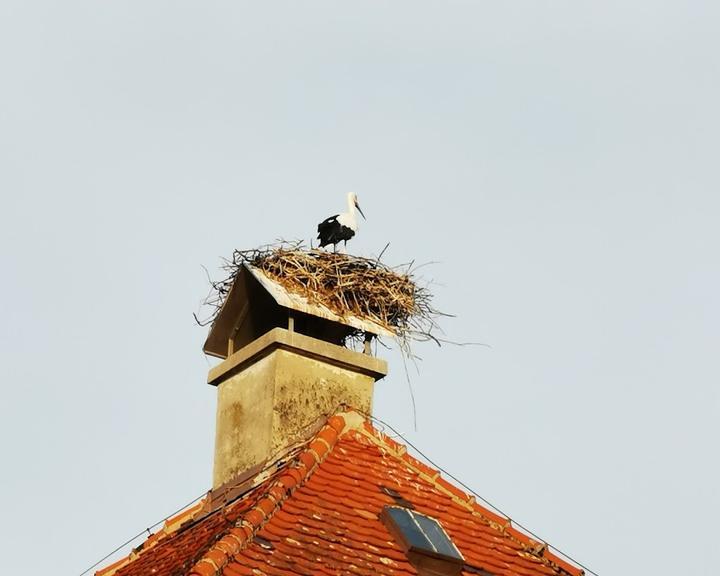 Witt's Gasthof zur Post